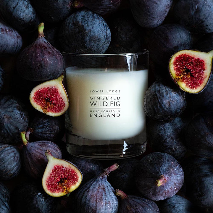 Gingered Wild Fig Home Scented Candle